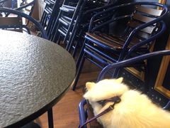 -喜茶(佛山顺德容桂天佑城店)