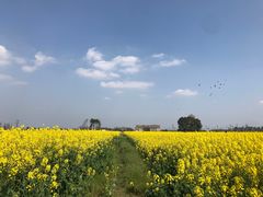 -中国天府农业博览园