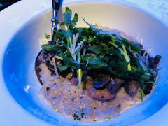 -bluefrog蓝蛙(皇庭广场店)