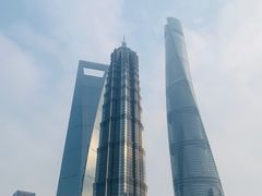-苏浙总会(国金中心店)