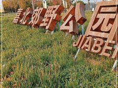 -嘉北郊野公园