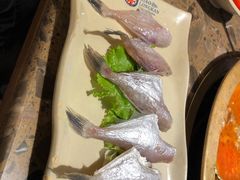 -小龙坎火锅(沂南店)