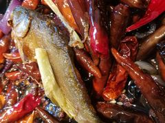 香辣武当岩鱼-丹江渔村(望京店)