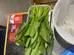-骨气鼓气羊棒骨·羊蝎子(住总万科广场店)