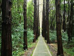 -同里国家湿地公园