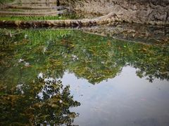 -成都市活水公园