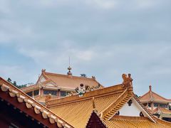 -深圳仙湖植物园
