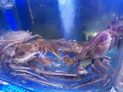 -晶渔坊·海鲜私房菜(东夷小镇店)