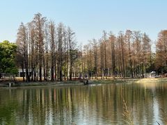 -四海公园(南山区)