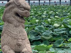 -锦溪古镇