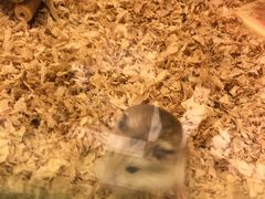 -龙猫仔乐园(惠福东路店)