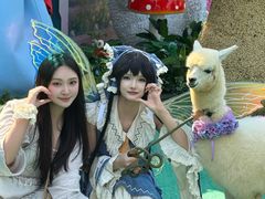 -灵玲国际马戏城