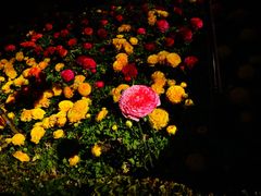 -阿尔罕布拉宫