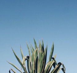 -FC·fashion creativity