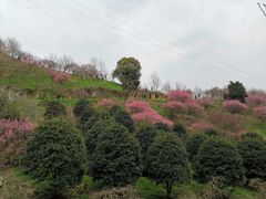 -蒋氏故居