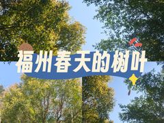 -牛岗山公园
