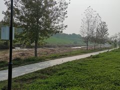 -洨河生态公园