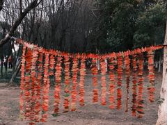 -艾溪湖湿地公园