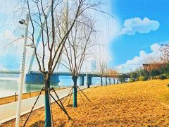 -灞河西岸滨河公园