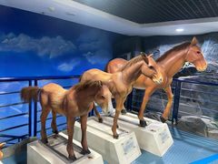 -吉林省自然博物馆
