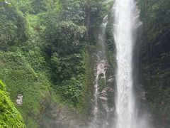 -莫里热带雨林景区