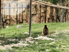 -上海野生动物园