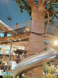 -卡通尼·Safari非洲探索乐园·生日会(金桥国际商业广场店)