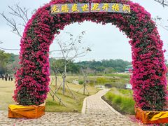 -梧桐山风景名胜区