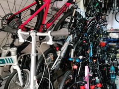 -道路口单车爱瓦士dahon大行