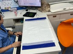 -博特宠物医院24h犬猫全科.骨科·异宠