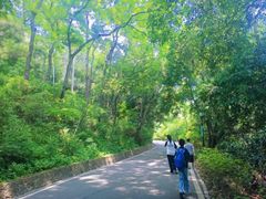 -三门江国家森林公园