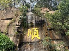 -三水森林公园