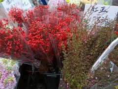 -循礼门鲜花花市(武汉循礼门店)