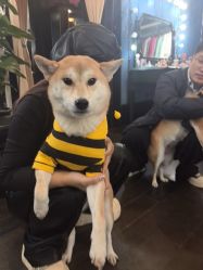 -鼎极摄影(蓝色港湾店)