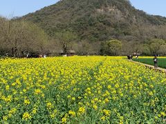 -八卦田遗址公园