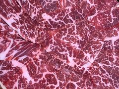 -叙亨轩海鲜火锅