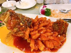 -新聚丰菜馆(太监弄店)