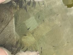 -张家港金凤凰度假村温泉