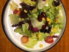 田园时蔬沙拉-布拉格餐厅· 中欧捷克菜(全国首店)