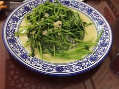 蓬蒿菜-范记靖远羊羔肉(博物馆店)