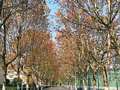 -南京理工大学紫金学院