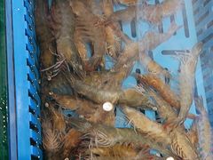 -倍儿美海鲜大排挡·非遗海鲜蒸饺(洋货店)