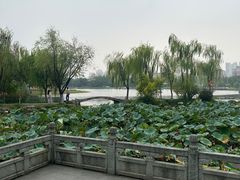 -武汉园博园(武汉自然博物馆)
