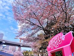-南浦大桥长途旅游客运站