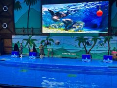 -石家庄市动物园