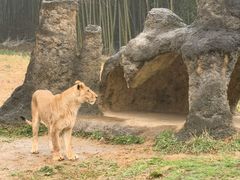 -杭州野生动物世界