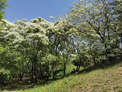 -国家植物园南园