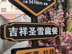 -吉祥圣雪藏餐