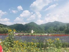 -簋街仔仔小龙虾(簋街二店)