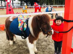 -太阳岛度假酒店